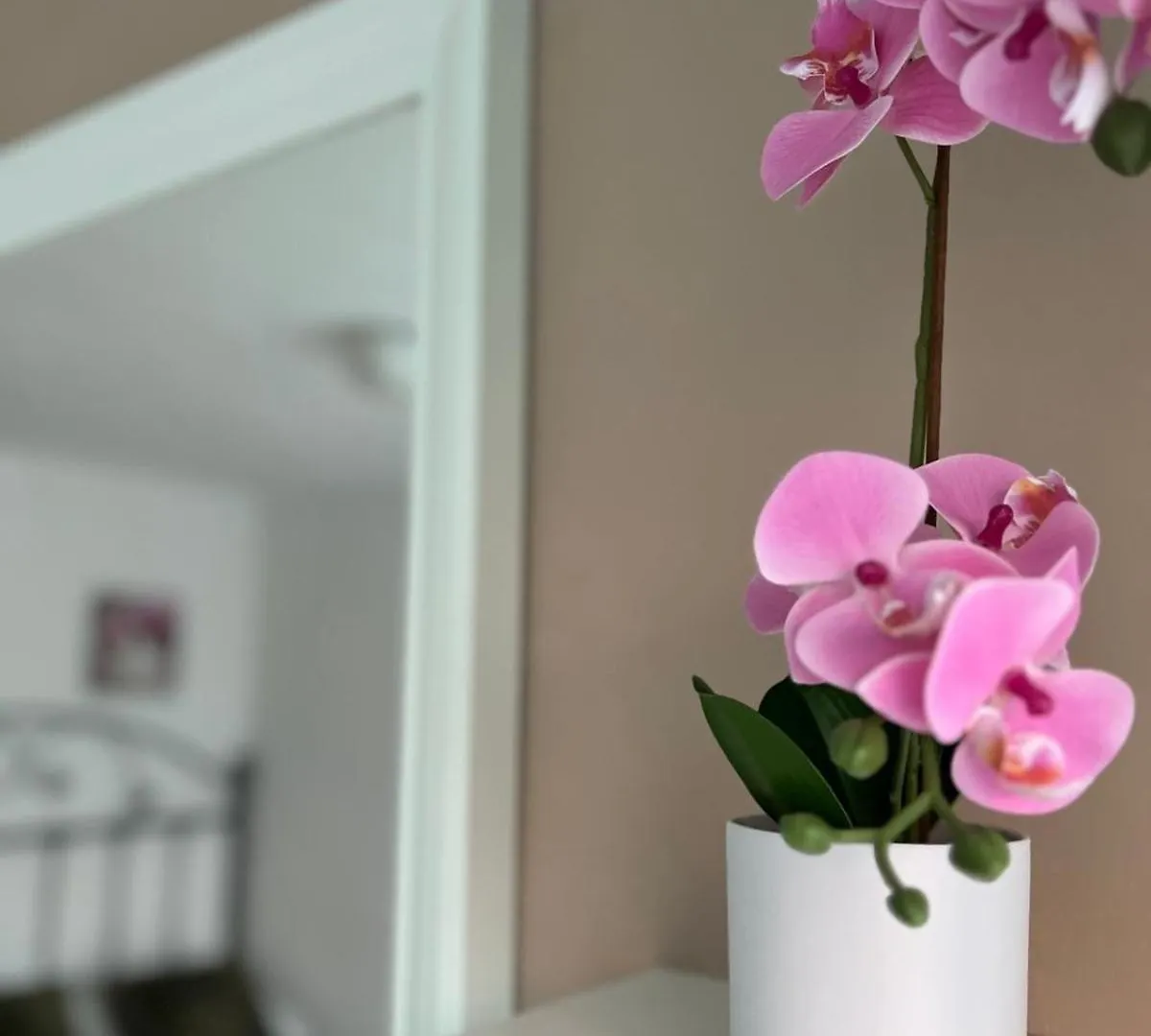 Apartamento Mirador De Jolucar Torrenueva  Appartement Torrenueva (Andalusia)