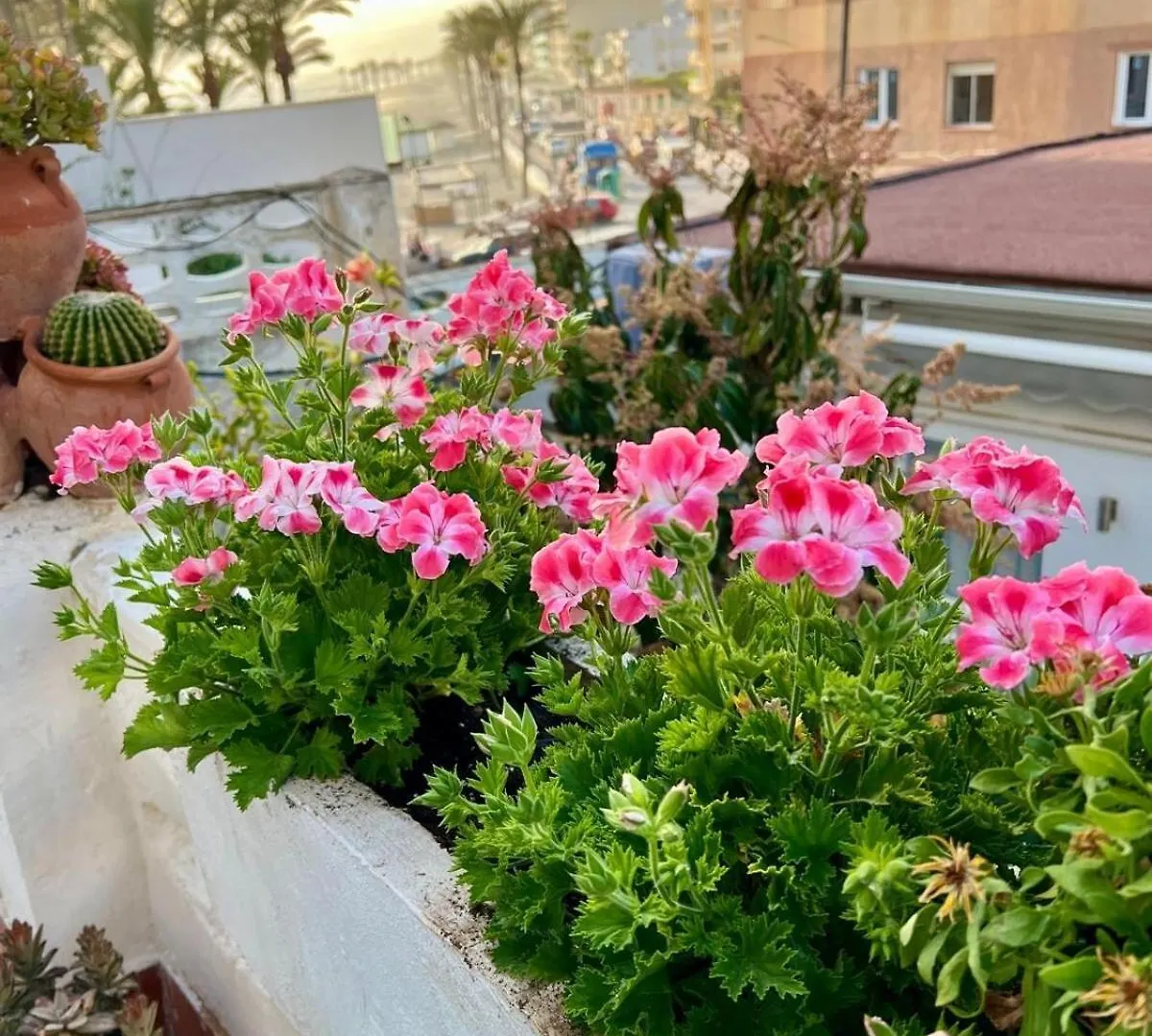 Apartamento Mirador De Jolucar Torrenueva